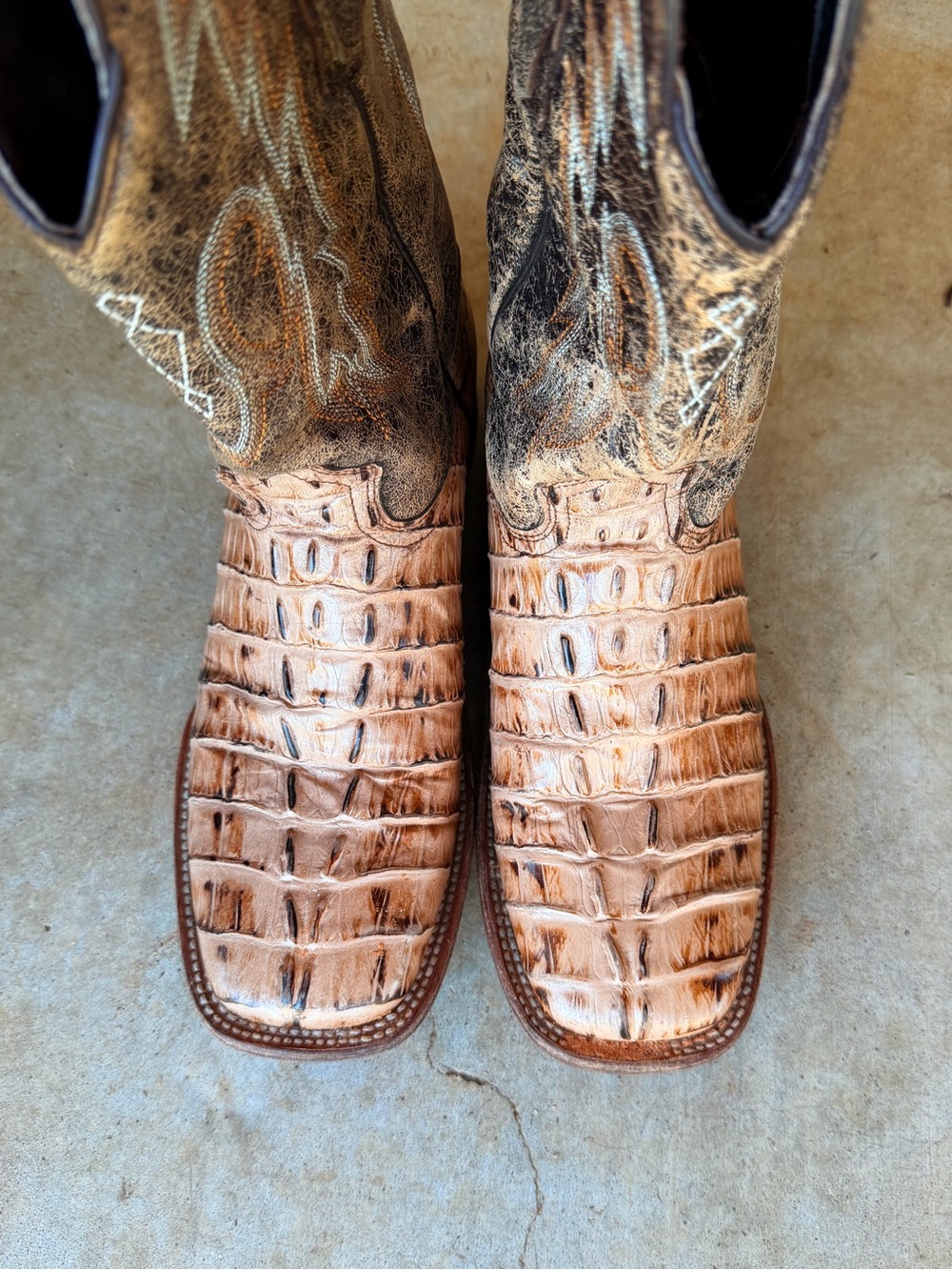 Reywelt Alligator Leather Sz 11.5 M Men's Cowboy Boots Luke new worn once